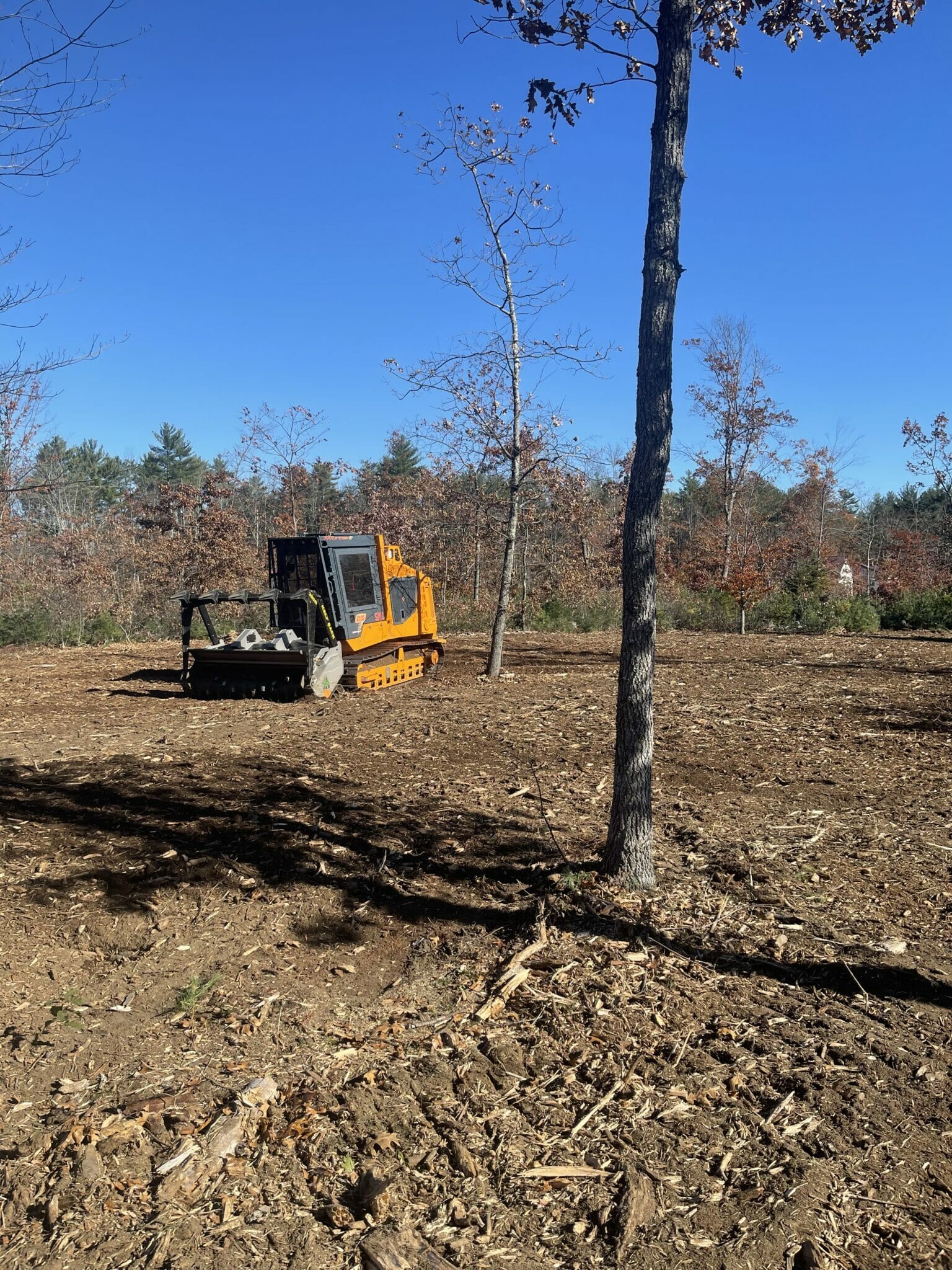 We have extensive experience in land clearing and forestry mulching